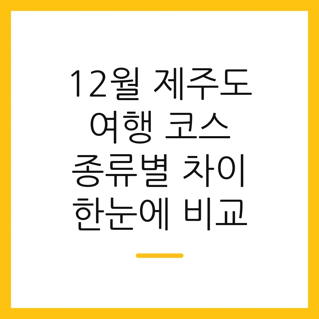 12월 제주도 여행 코스 종류별 차이 한눈에 비교