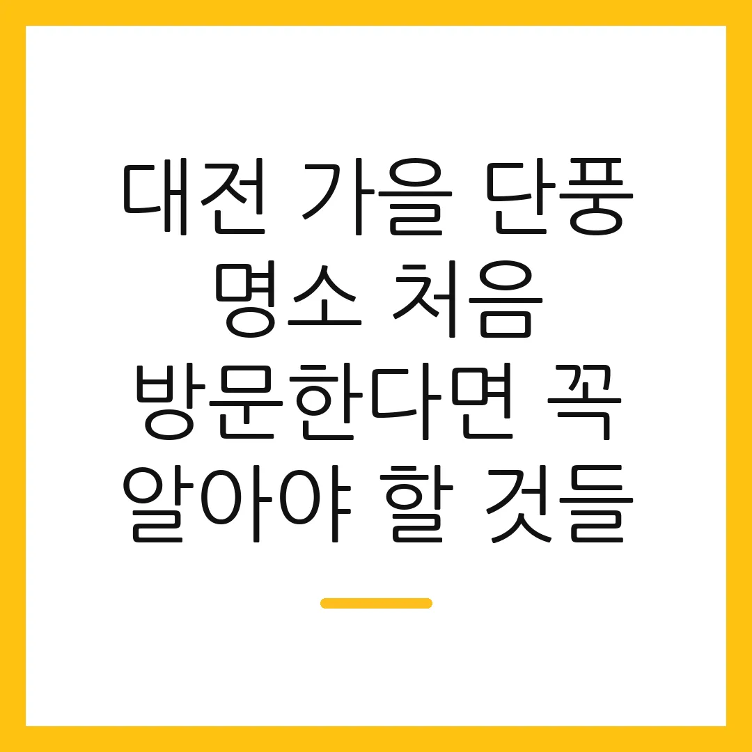 대전 가을 단풍 명소 처음 방문한다면 꼭 알아야 할 것들