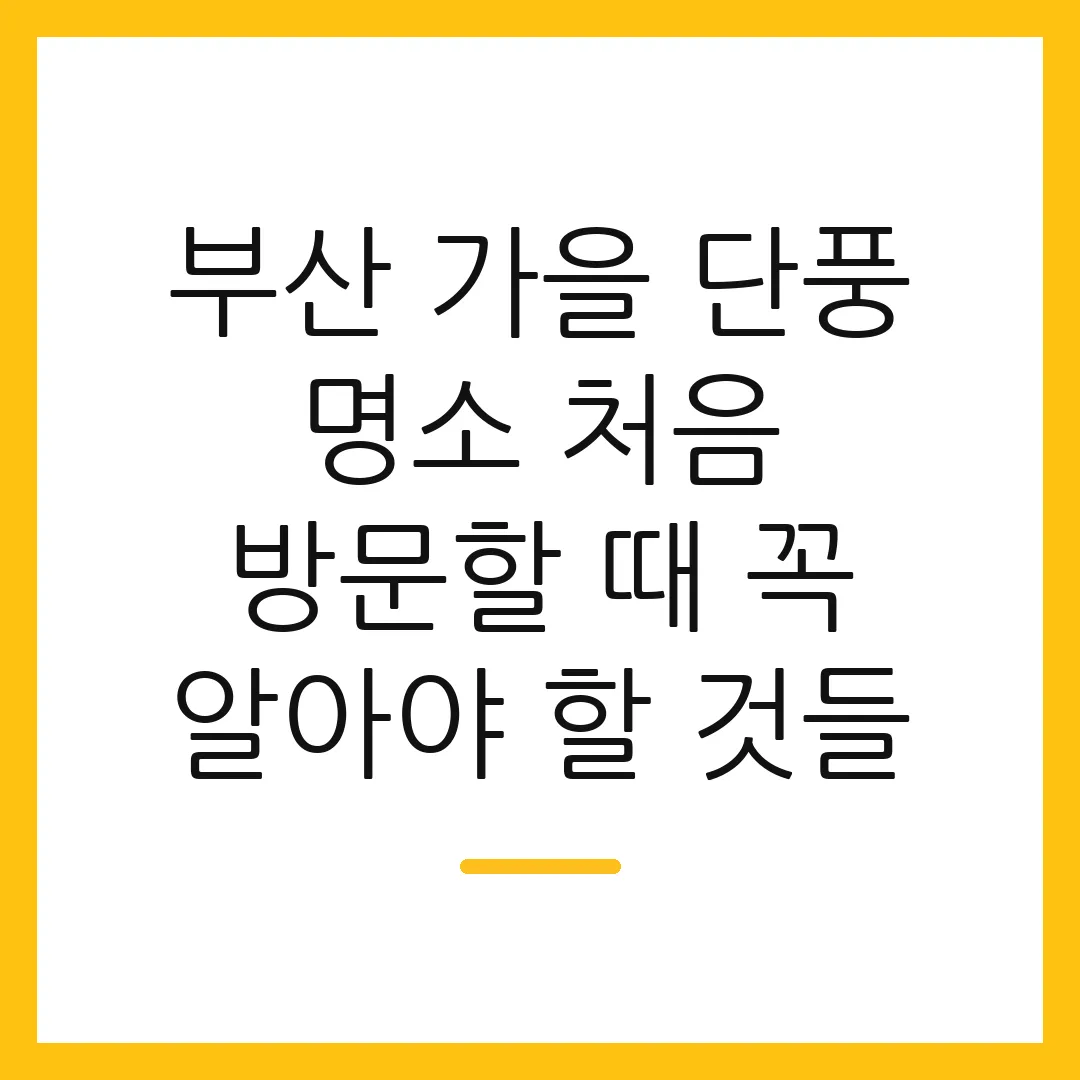 부산 가을 단풍 명소 처음 방문할 때 꼭 알아야 할 것들