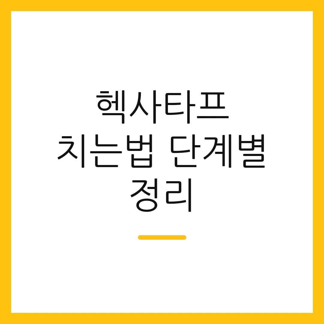 헥사타프 치는법 단계별 정리